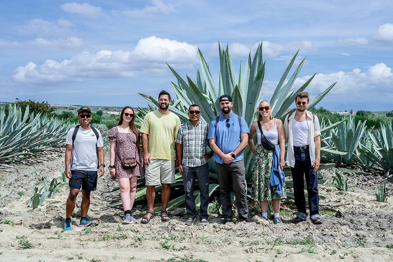 Oaxaca : Visite d&#039;une distillerie de mezcal avec dégustations