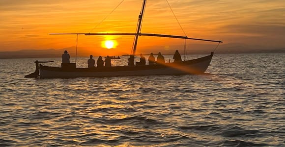 From Valencia: Albufera Boat Ride, Sunset & Paella Included