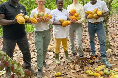 From Accra: Boti Falls, Cocoa Farm, & Aburi Gardens Day Trip
