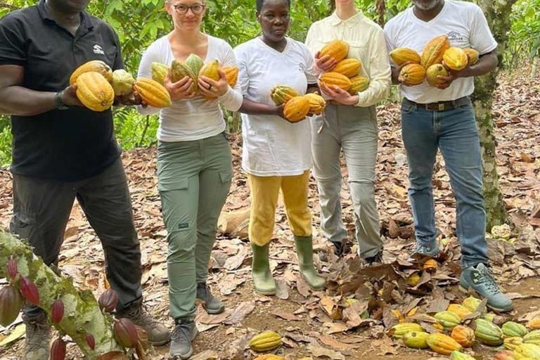 From Accra: Boti Falls, Cocoa Farm, & Aburi Gardens Day Trip