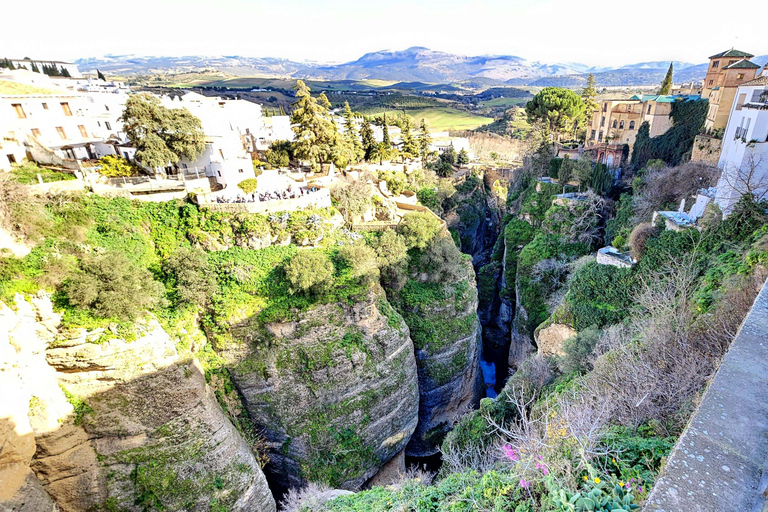 Ronda and Setenil Day Trip From Nerja, Torrox, Torre del mar 8:05 AM from Torrox Costa Bus Station