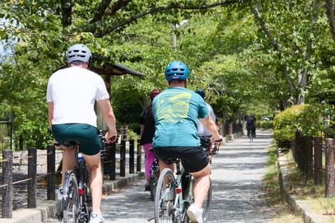 Kyoto: Hidden Gems E-Bike Tour Through Backstreets & Temples - Image 2