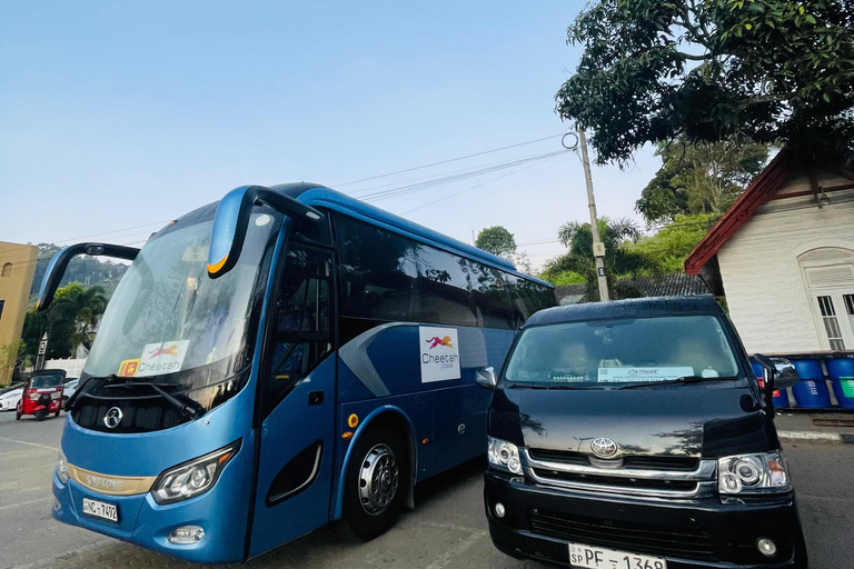 Colombo: Galle, Unawatuna, and Madu River Day Trip