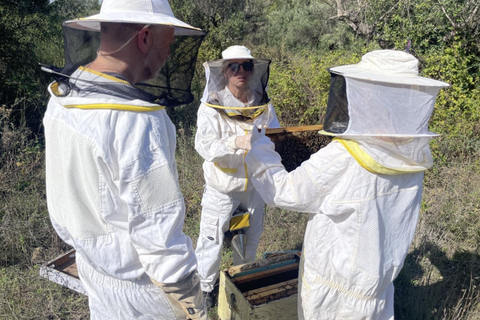 Kalamata: Beekeeping Experience with Honey Tasting