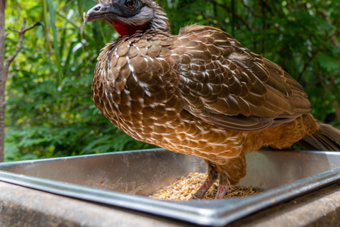 Entdecke den faszinierenden Nationalen Vogelpark auf der Isla Baru Cartagena