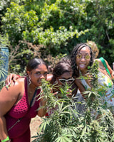 Montego Bay, Marijuana Farm und Vogelschutzgebiet Tour - Hizvo