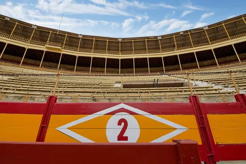 Billet d'entrée pour les arènes et le musée de la tauromachie