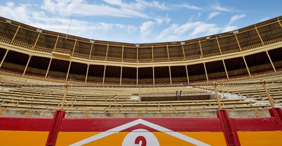 Alicante: Bullring and Bullfighting Museum Entry Ticket