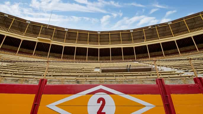 Alicante: Bullring and Bullfighting Museum Entry Ticket