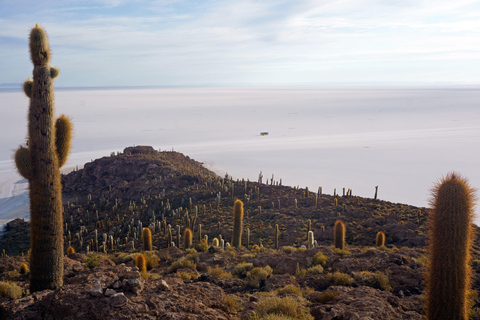 Visite du salar d'Uyuni depuis Sucre en bus