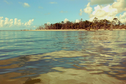 Savannah River Marsh: la tua indimenticabile avventura in crociera!