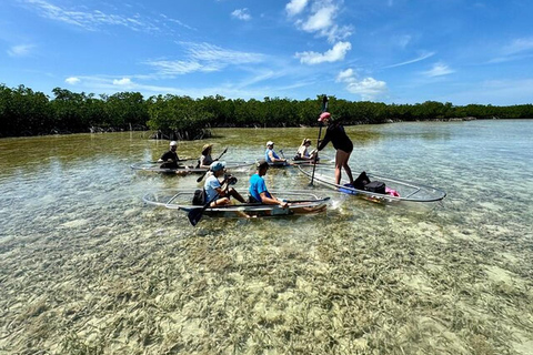 Key West Area: Guided Clear Kayak Eco-Tour