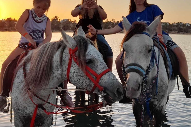 Djerba: Crossing the Lagoon on Horseback at Sunset Djerba: Horseback ride across the lagoon at sunset