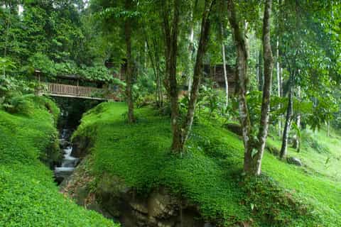 From San Jose: 2-Day Adventure on the Pacuare River
