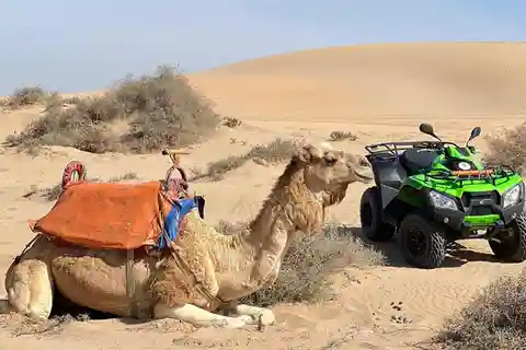 Agadir to Tifnit Desert: Quad Biking Tour with Sandboarding