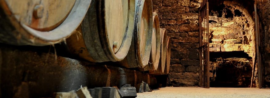 Visite de cave et dégustation des vins du domaine à Saint Bris