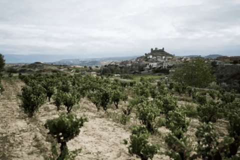 La Rioja: CM Matarromera Winery Tour