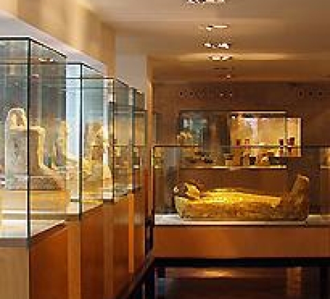 Museum och utställningar