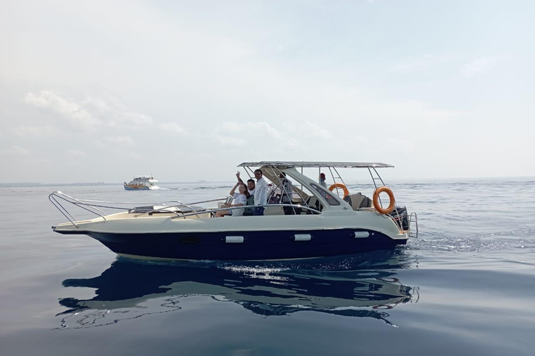 Whale Watching in Speed Boat in Mirissa