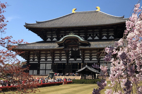 Osaka:Kyoto & Nara & Uji Tour, Todaiji, Fushimi Inari Taisha Nara & Kyoto & Uji Tour | 8:00 AM from Osaka