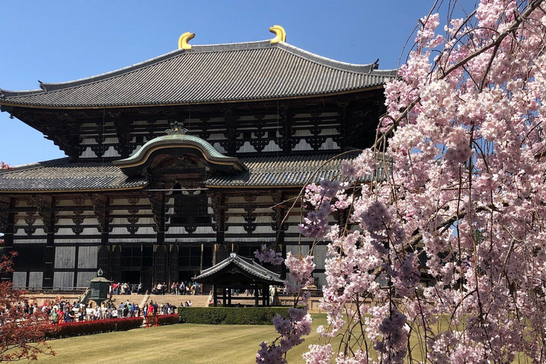 Osaka:Kyoto & Nara & Uji Tour, Todaiji, Fushimi Inari Taisha Nara & Kyoto & Uji Tour | 8:00 AM from Osaka