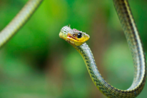 AMAZOŃSKA WYPRAWA SURVIVALOWAAMAZONSKA WYPRAWA PRZETRWANIA