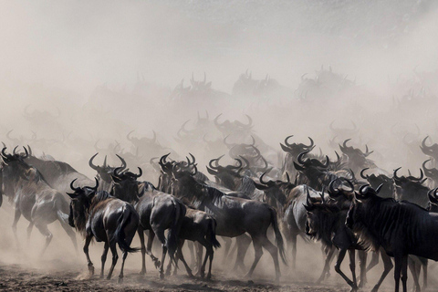 Serengeti: safari di 5 giorni attraverso il fiume Mara