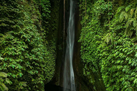 Bali: Jatiluwih Rice Terraces, Waterfall & Temple Tour