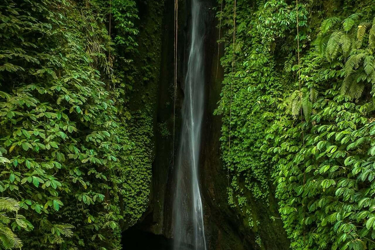 Bali: Jatiluwih Rice Terraces, Waterfall & Temple Tour
