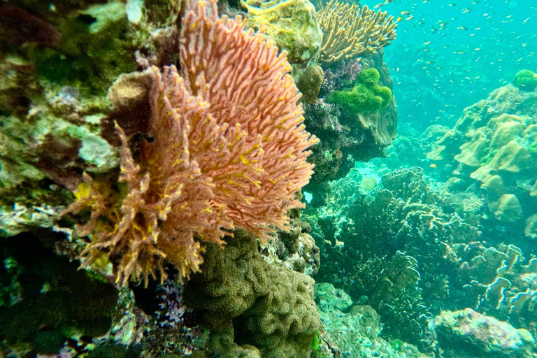 phi phi island : Aluguel de barco de madeira particular de luxo