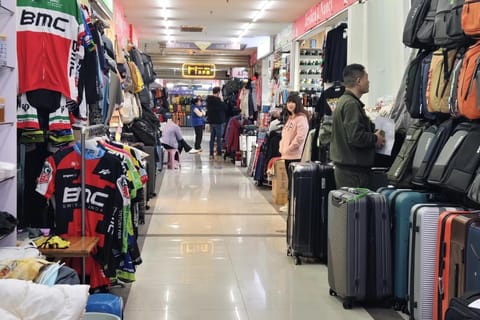 7-Hour Private Shanghai Layover Tour with Fake Market Visit