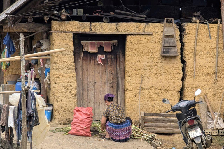From Sapa: 1D Local Bac Ha Sunday Market Tour - Best Seller Bac Ha Market Tour with Local Lunch ( Lunch Included )