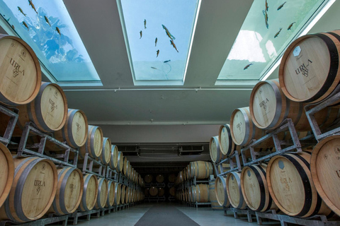 Izmir: Urla Wine Tasting and Vineyard Tour Self Arrival Tasting and Vineyard Tour