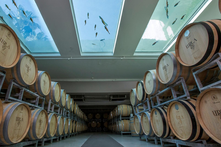 Izmir: Urla Wine Tasting and Vineyard Tour Self Arrival Tasting and Vineyard Tour