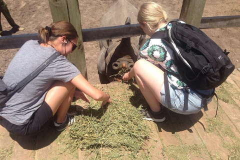 Nairobi: Ol Pejeta Conservancy Day Trip with Game Drive