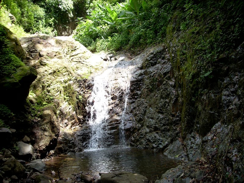 Santa Cruz Hidden Waterfalls Secret Paradise Hike GetYourGuide