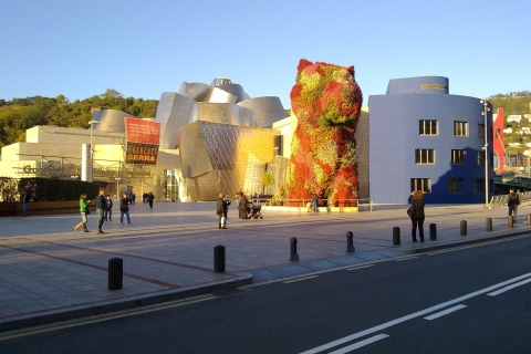 Visite d'une demi-journée de la ville de Bilbao et du musée Guggenheim en privé