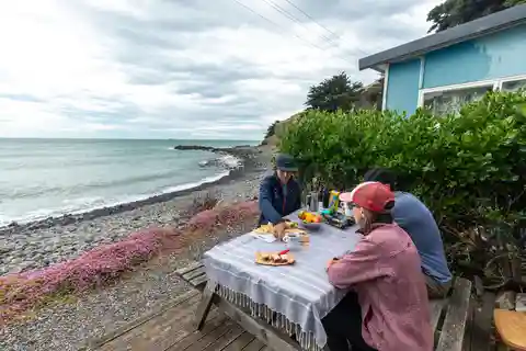 Lyttelton: Excursão em terra, Godley Head, caminhada guiada