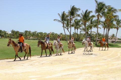 Punta Cana:Passeios a cavalo na praia