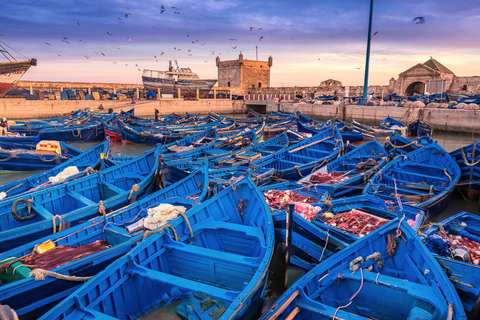 Au départ de Marrakech : Visite d'Essaouira d'une jounée