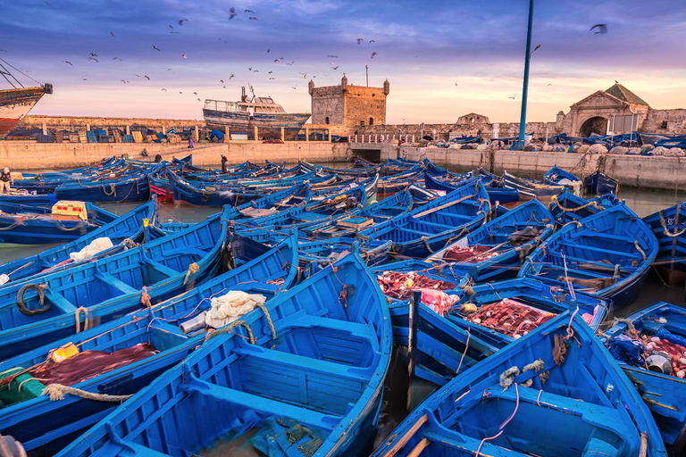 Discover the Enchantment of Essaouira: with Pickup Included