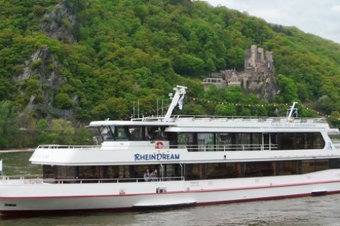 Reinin laakson linnat: Rüdesheimista 1,5 tunnin venekierros.