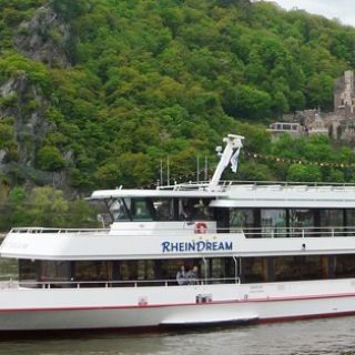 Замки долины Рейна: 1,5-часовая прогулка на лодке из Рюдесхайма