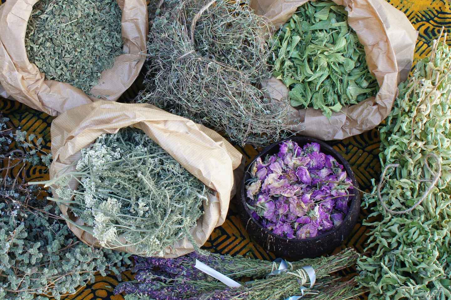 Troodos Villages and Kykkos Monastery from Paphos in Polish