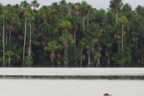 PIRANHA FISHING IN TAMBOPATA
