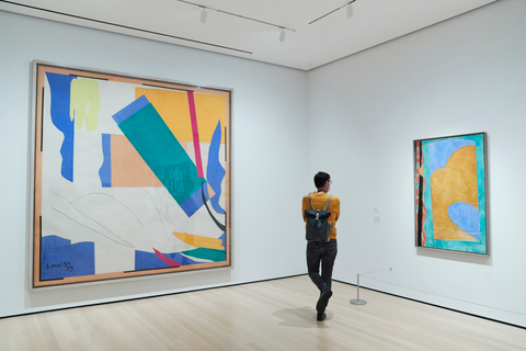 NYC: MoMA rondleiding met kunstkenner