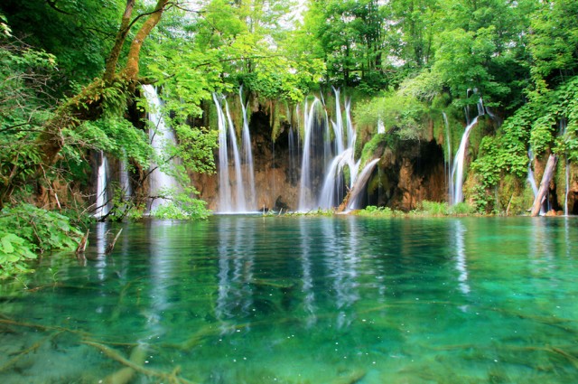 Visit From Split or Trogir Plitvice Lakes Private Tour in Plitvice