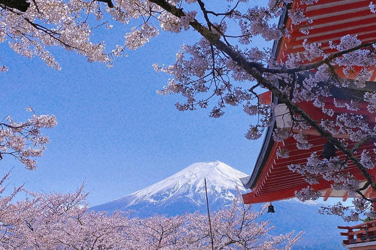 Tokyo: Mount Fuji Instagram Highlights Day Trip (6 Views) 08:00 | Meet at Shinjuku West Exit, SMBC