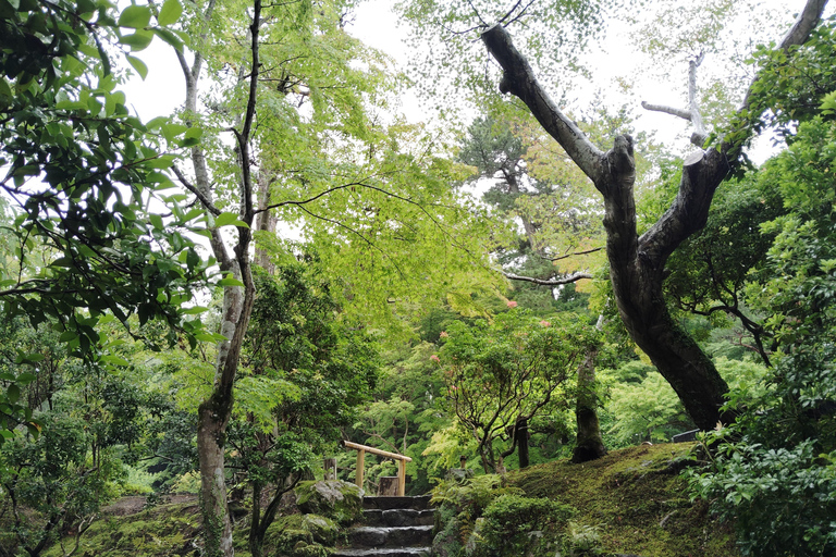 نارا: جولة في حدائق يوشيكين وإيسوئين مع حفل شاي