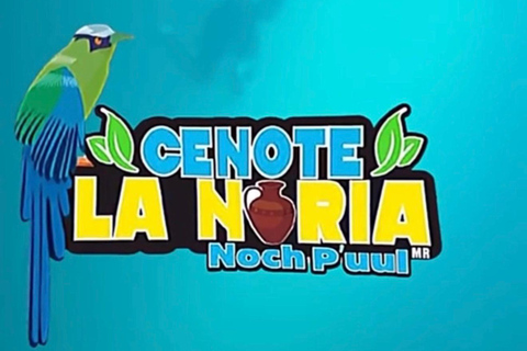 Cancun: Adventure at Cenote La Noria with ATVs, Zip Lines and a Cenote Cancun: Adventure in Cenote La Noria with ATVs, Zip Lines and Cenote